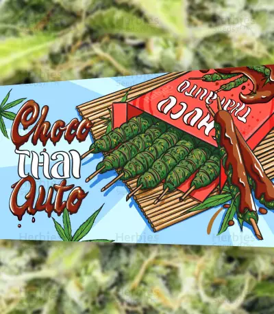 Choco Thai Auto-Samen (Herbies Seeds)