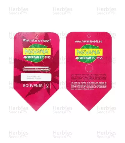 Hawaii Maui Waui (Nirvana Seeds) Cannabis-Samen