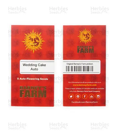 Wedding Cake Auto feminisierte Samen (Barney’s Farm)