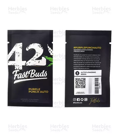 Purple Punch Auto feminisierte Samen (Fast Buds)
