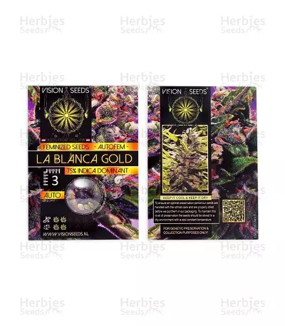 La Blanca Gold Auto (Vision Seeds) Cannabis-Samen