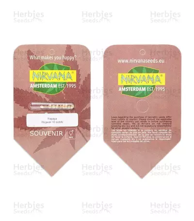 Papaya regular (Nirvana Seeds) Cannabis-Samen