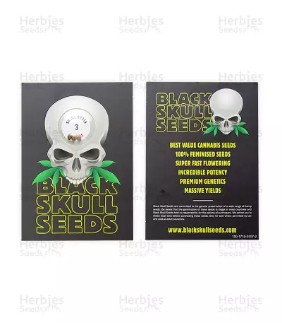 SkullRyder Auto (Blackskull Seeds) Cannabis-Samen