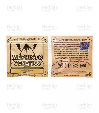 4 Assed Monkey (Mephisto Genetics) Cannabis-Samen