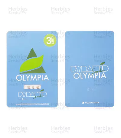 Olympia (Pyramid Seeds) Cannabis-Samen