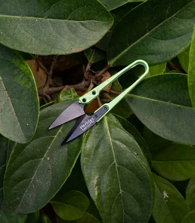 Gartenschere (Herbies)