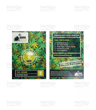 THC Bomb (Bomb Seeds) Cannabis-Samen