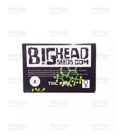 THC Pro (Big Head Seeds) Cannabis-Samen