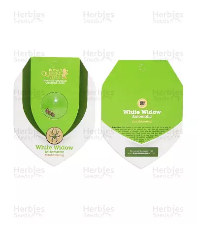 White Widow Automatic (RQS) Cannabis-Samen