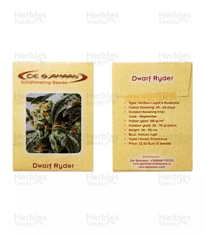 Dwarf Ryder Auto (De Sjamaan Seeds) Cannabis-Samen