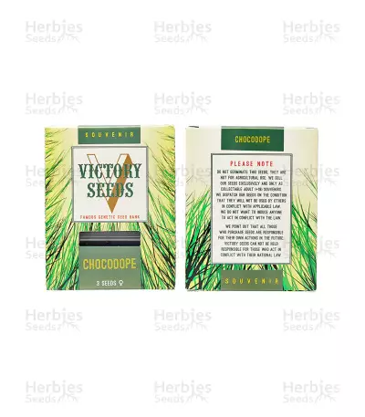 Chocodope (Victory Seeds) Cannabis-Samen
