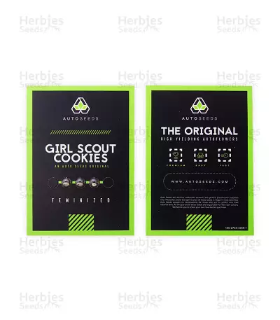Girl Scout Cookies Auto (Auto Seeds) Cannabis-Samen