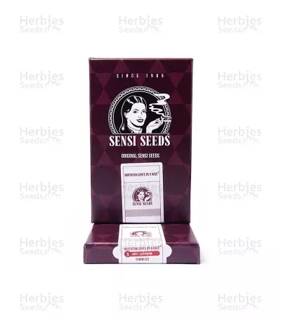 Northern Lights #5 X Haze (Sensi Seeds) Cannabis-Samen