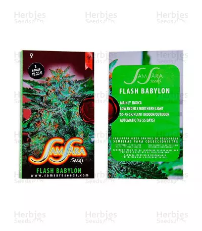 Flash Babylon Auto (Samsara Seeds) Cannabis-Samen