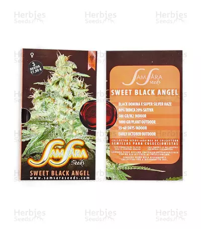 Sweet Black Angel (Samsara Seeds) Cannabis-Samen