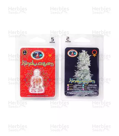 Hindu Cream (Big Buddha Seeds) Cannabis-Samen