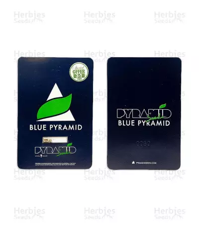 Blue Pyramid (Pyramid Seeds) Cannabis-Samen