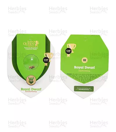 Royal Dwarf Auto (RQS) Cannabis-Samen