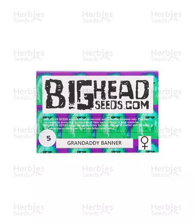 Grandaddy Banner (Big Head Seeds) Cannabis-Samen