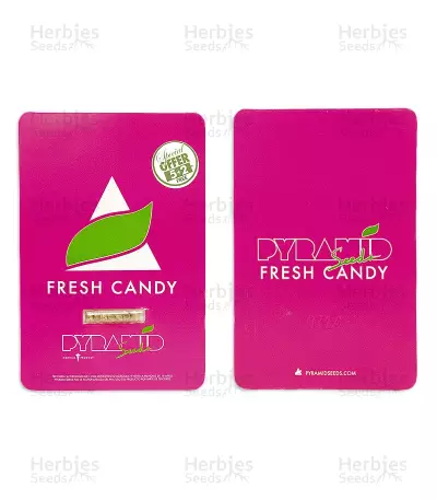 Fresh Candy (Pyramid Seeds) Cannabis-Samen