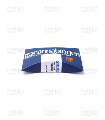 Panama D.C. Regular (CannaBioGen) Cannabis-Samen