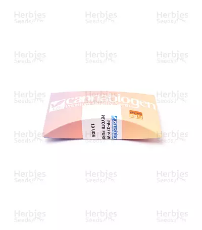 Peyote Purple Regular (CannaBioGen) Cannabis-Samen