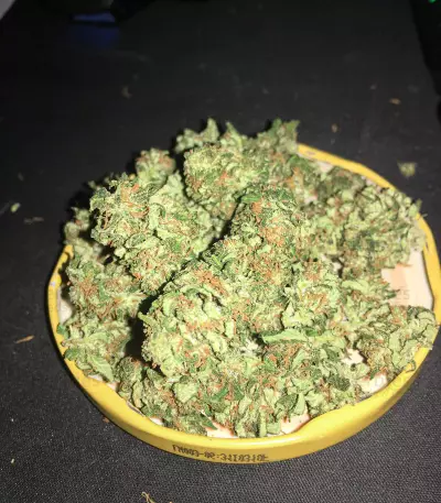 Watermelon Z (Pyramid Seeds) Cannabis-Samen