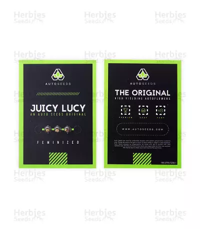Juicy Lucy Auto (Auto Seeds) Cannabis-Samen