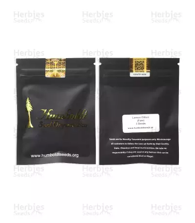 Lemon Citron Samen feminisiert (Humboldt Seeds Organization)