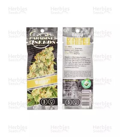 Wappa (Paradise Seeds) Cannabis-Samen