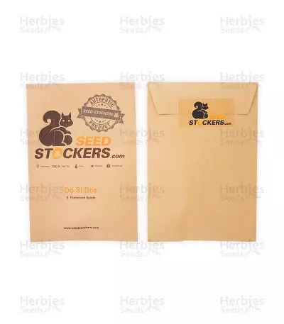 Do Si Dos (Seedstockers) Cannabis-Samen