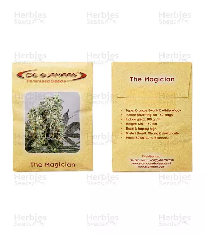 The Magician (De Sjamaan Seeds) Cannabis-Samen