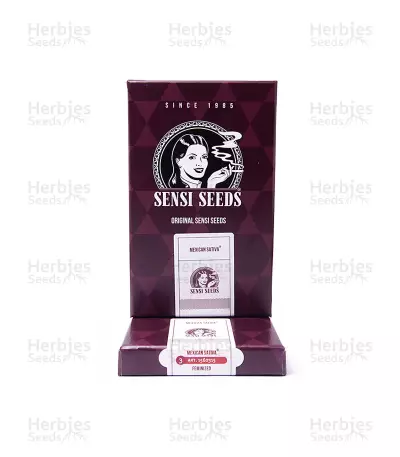 Mexican Sativa (Sensi Seeds) Cannabis-Samen