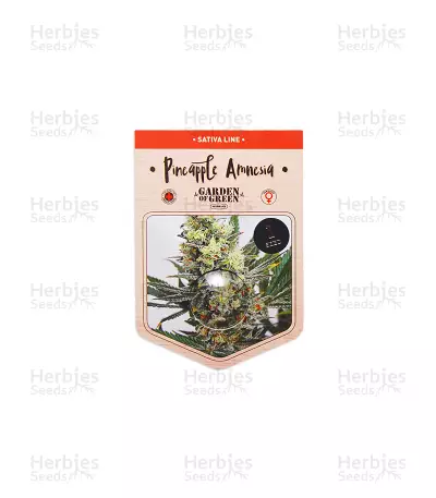 Pineapple Amnesia (Garden of Green) Cannabis-Samen
