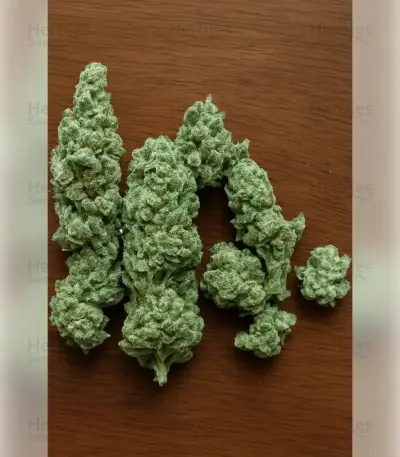 Northern Light (RQS) Cannabis-Samen