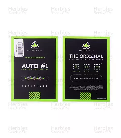 Auto #1 (Auto Seeds) Cannabis-Samen