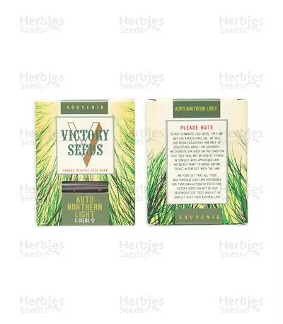 Auto Northern Light (Victory Seeds) Cannabis-Samen