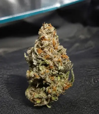 Wonder Pie (GHS)
