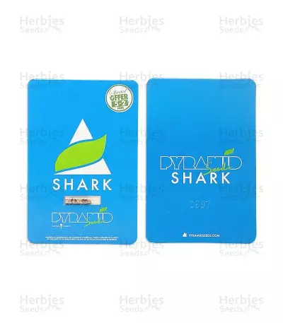 Shark (Pyramid Seeds) Cannabis-Samen