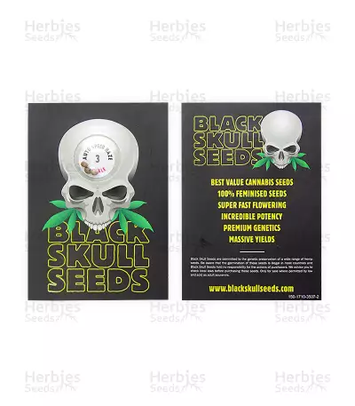 Auto Speed Haze (Blackskull Seeds) Cannabis-Samen