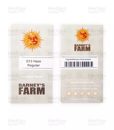 G13 Haze Regular (Barney's Farm) Cannabis-Samen