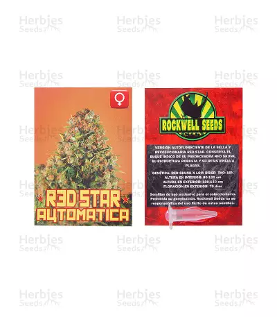 Red Star (Rockwell Seeds) Cannabis-Samen