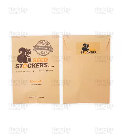Sherbet (Seedstockers) Cannabis-Samen
