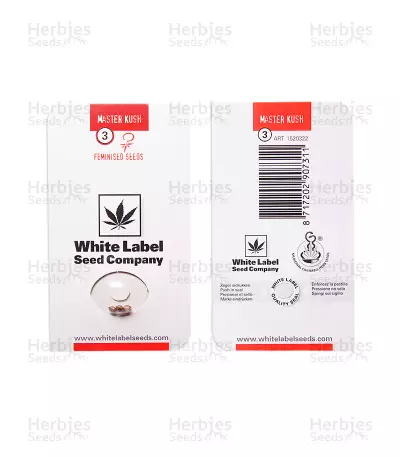 Master Kush (White Label) Cannabis-Samen