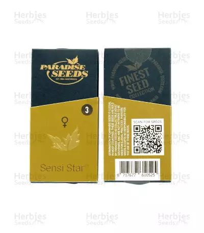 Sensi Star (Paradise Seeds) Cannabis-Samen