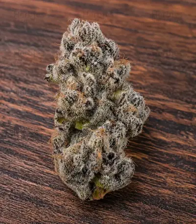 RS11 (Barney's Farm)