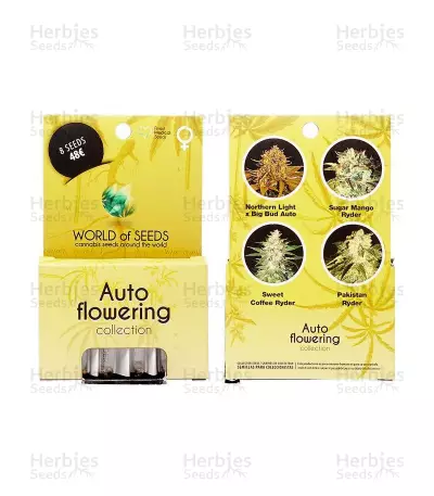 Autoflowering Collection (World of Seeds) Cannabis-Samen