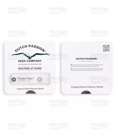 Power Plant regular (Dutch Passion) Cannabis-Samen