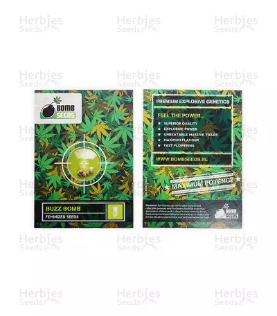 Buzz Bomb (Bomb Seeds) Cannabis-Samen