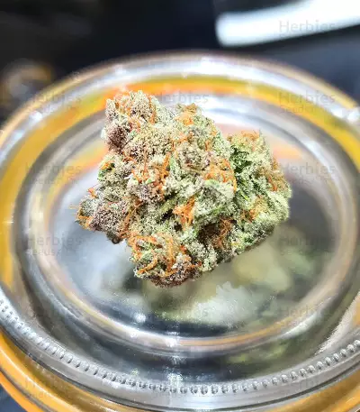 Green Crack Punch (Green Punch) (RQS) Cannabis-Samen